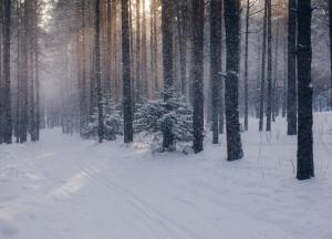 Согревал своим теплом под ледяным дождем: под Днепром 10-летний мальчик спас отца