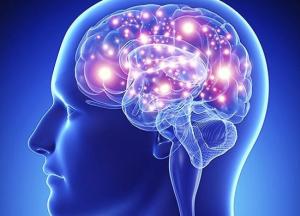 Названы простые способы, помогающие замедлить старение мозга