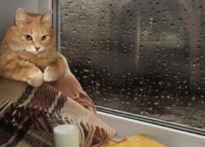 Прогноз погоды на 21 марта: в Украине похолодает и пройдут дожди