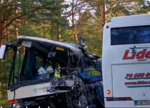В Польше столкнулись несколько автобусов, среди раненых украинцы (видео)