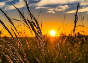 Прогноз погоды на 14 июля: в Украине будет сухо и жарко