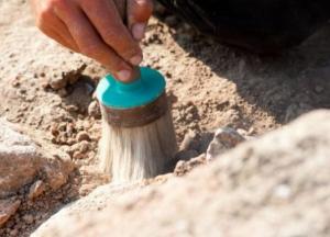 Останки свыше 60 убитых нашли под Львовом