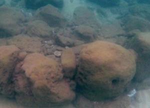 Ученые нашли древнейшую защиту от климатической катастрофы