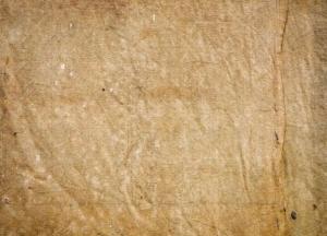 Археологи обнаружили редкий отпечаток доисторической одежды 