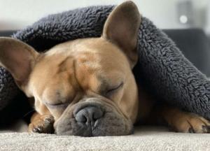 Медики рассказали, как просто избавиться от тревоги и бессонницы