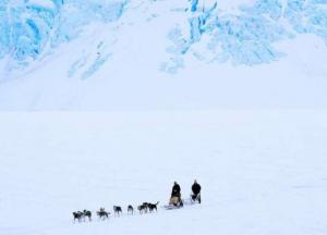 Археологи обнаружили следы загадочного древнего народа Арктики 