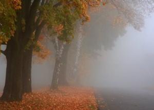 Прогноз погоды на 24 октября: тепло, но сильные туманы (карта)