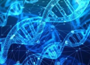 Ученые впервые расшифровали ДНК живших в Африке древних людей