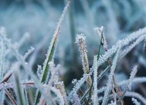 Прогноз погоды на 23 марта: в Украине ожидаются осадки и порывистый ветер