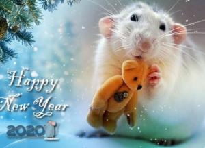 Красивые поздравления с Новым годом: картинки и стихи 