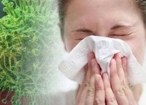 Появились снимки пораженных коронавирусом легких