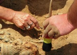 Археологи обнаружили вино, которому 3 тысячи лет