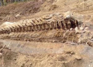 Ученые обнаружили самого крупного хищного динозавра