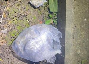 На Прикарпатье полицейский наладил схему сбыта каннабиса