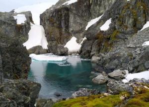 В Антарктиде зафиксировали рекорд тепла