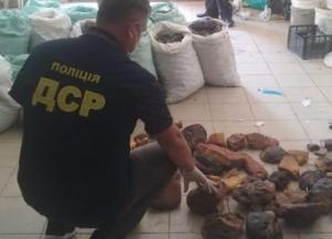 На Ровенщине изъяли уникальный янтарь на $1,2 млн (фото)