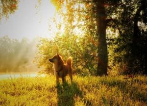 Прогноз погоды на 25 октября: будет тепло и сухо (карта)