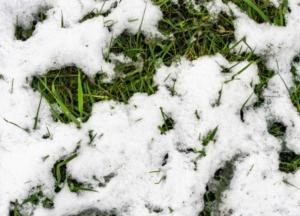 В Украине могут полностью исчезнуть зимы: названы сроки