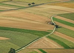 У Зеленского заговорили о снятии моратория на продажу земли