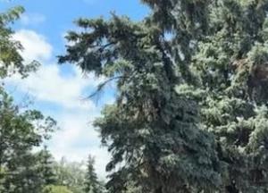 Полтава: місто історії, архітектури та унікальних галушок