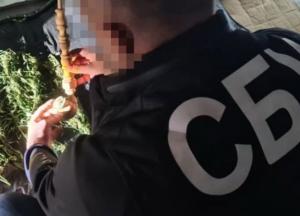 В Украине ликвидировали оптовый канал сбыта наркотиков (фото)