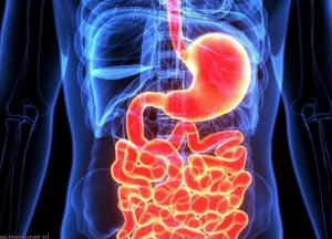 Медики назвали продукты для улучшения работы кишечника