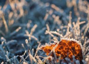 В Украину вторгнется арктический воздух: в каких областях ударят заморозки