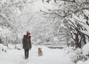 Снег каждый день и до -20: синоптик дал неожиданный прогноз на зиму-2019