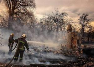 В Житомирской области при поджоге сухой растительности погибла женщина