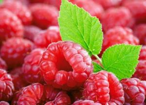 Диетологи назвали идеальную ягоду для похудения