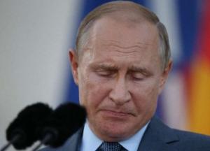 "Надеюсь познакомиться": Путин прокомментировал переговоры с Зеленским (видео)