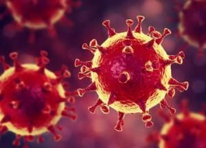 Панику вокруг коронавируса высмеяли карикатурой с Адамом и Евой