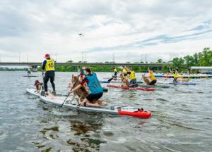 Відкриття Літнього Сезону в ІКСПАРК — Свято Спорту, Доброти та Єдності
