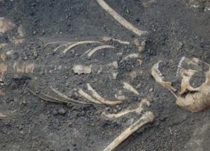 В центре Харькова найшли человеческие останки