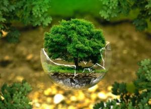 Ученые создали карту с возможными местами обитания неизвестных животных