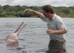 В опасных водах Амазонки Дмитрий Комаров отыскал редких розовых дельфинов (фото)