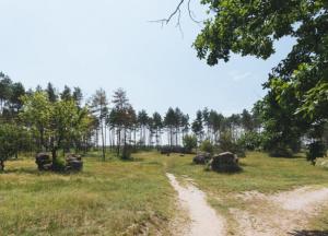 На ставке Гитлера под Винницей обнаружили подземное сооружение со следами радиоактивного газа