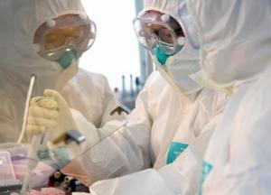 В Бразилии зафиксирован новый штамм коронавируса