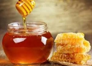 Ученые сравнили пользу меда и эффект от антибиотиков