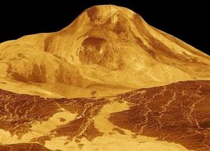 Ученые рассказали, как выживают микробы на Венере