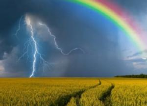 Прогноз погоды на 27 июня: дожди, грозы и сильный ветер на большей части Украины