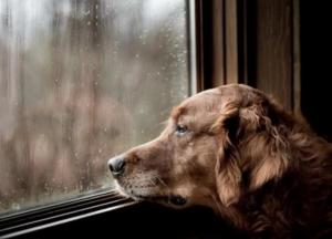 Прогноз погоды на 5 февраля: на Украину надвигается циклон Petra