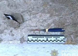 Не поделили пульт от телевизора: в Одесской области мужчина зарезал родного брата (фото, видео)