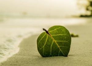 Прогноз погоды на 6 августа: сухо, солнечно, тепло