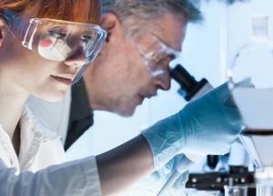 Ученые разработали искусственное мясо из человеческих клеток