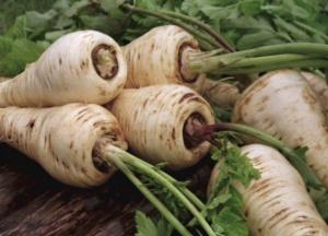 Медики назвали овощ, который полезен для сердца, печени и щитовидной железы