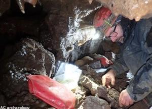 Гиены, мамонты и носороги: археологи сделали потрясающее открытие (фото)
