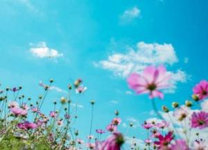 Прогноз погоды на 29 июля: Украина накроют грозы, жара до +35