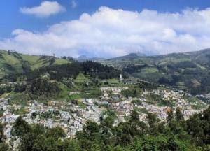 Между землетрясениями и ростом деревьев есть связь - ученые