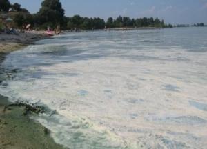 В Минэкологии рассказали, чем загрязнен Днепр